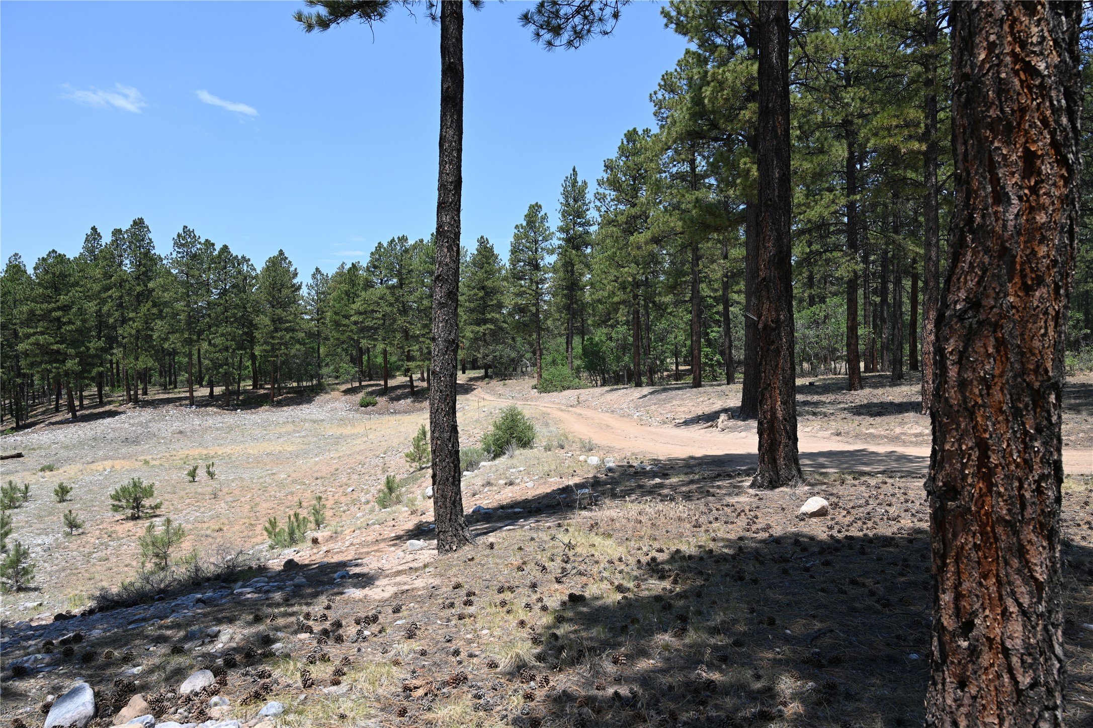 0 The Forks Road Chama, NM 87520 - Photo 18 of 25 Gallery Image 18