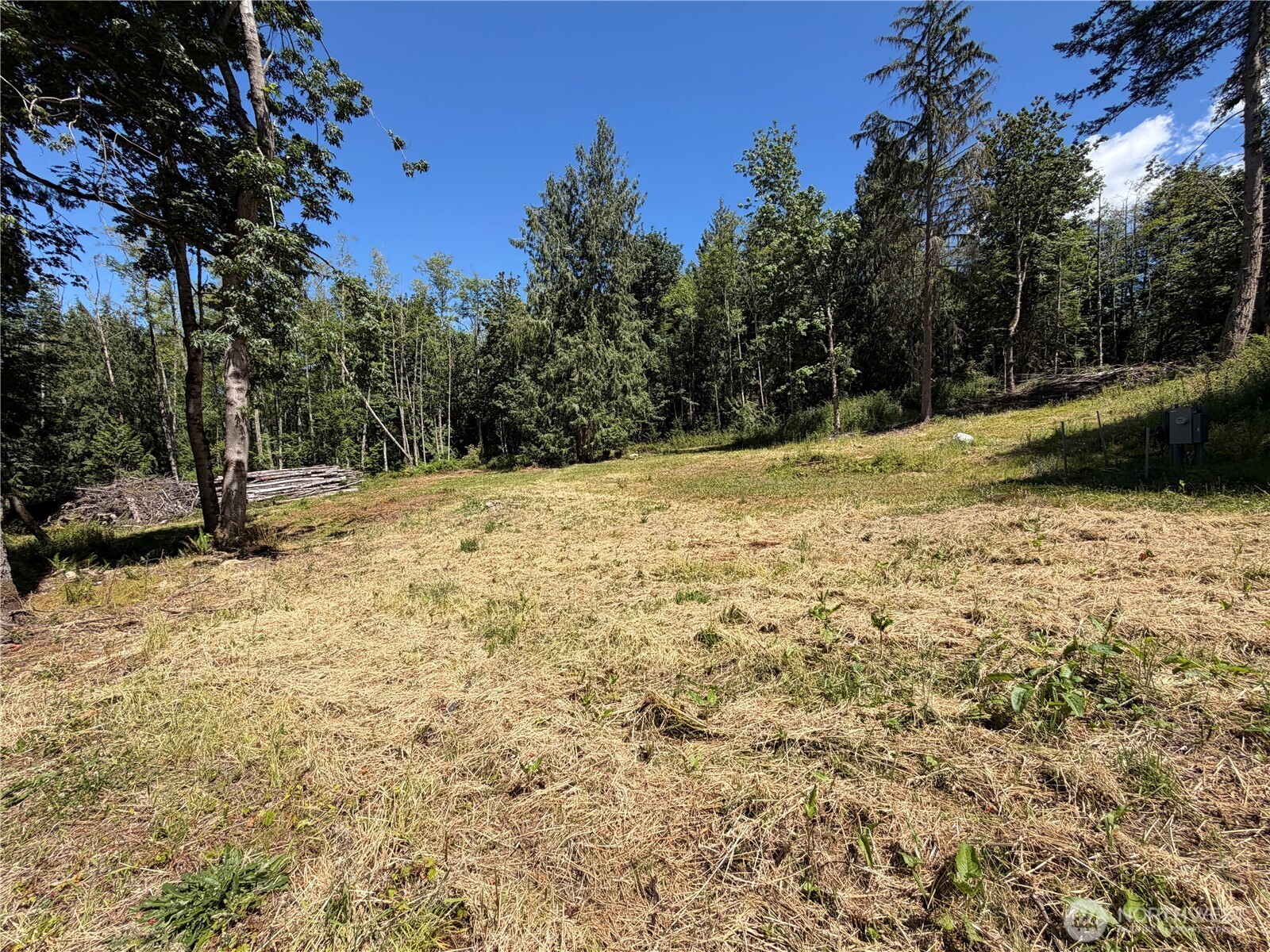 1183 Blyn Springs Road Sequim, WA 98382 - Photo 10 of 37