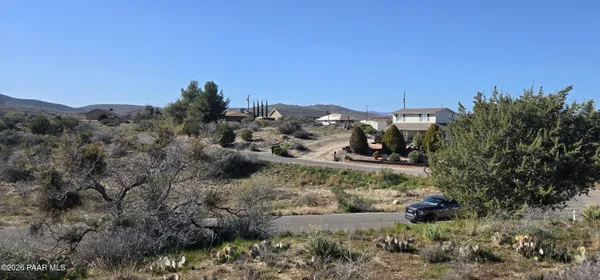 a view of a field with a tree in front of it