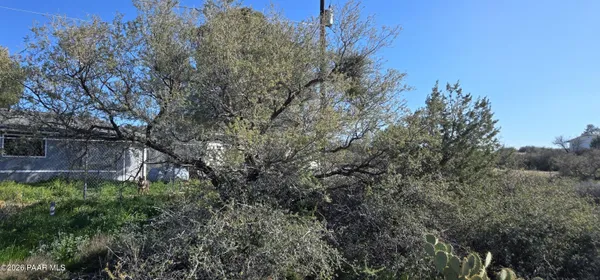 a view of a bunch of trees in a field
