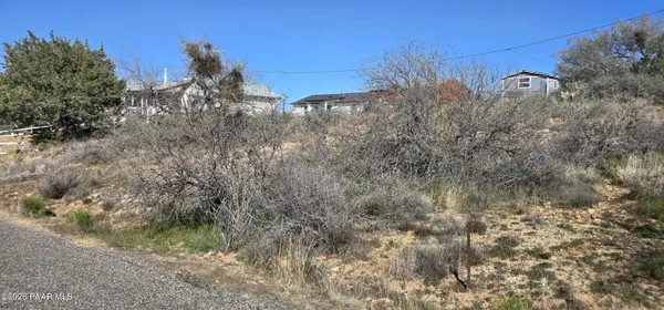 a view of a yard with a tree