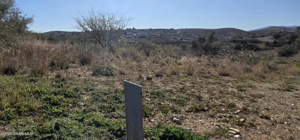 a view of a forest with a tree in a field