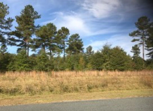 Lot 10 Burkelo Road Wagener, SC 29164 - Photo 17 of 18
