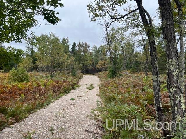 Tbd Oro Road Spalding, MI 49886 - Photo 22 of 22 Gallery Image 22
