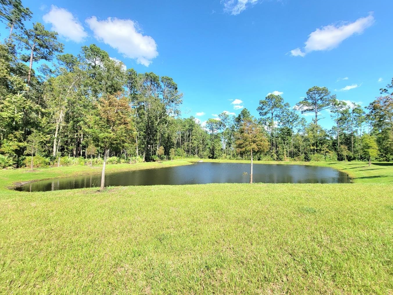 177 Tidal Bch Avenue St. Augustine, FL 32095 - Photo 34 of 39 a view of swimming pool with a yard
