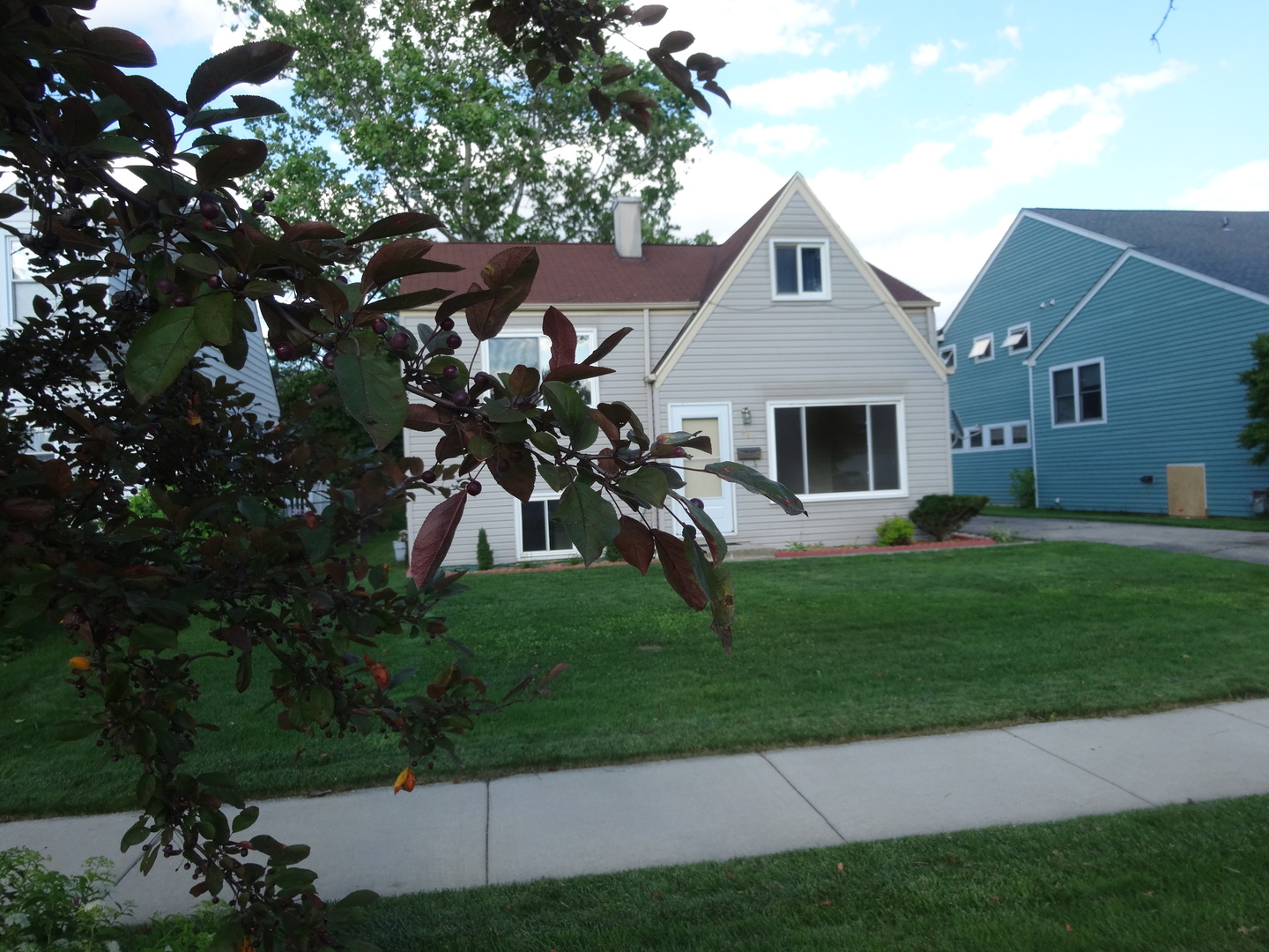961 Spring Road Elmhurst, IL 60126 - Photo 2 of 24 a front view of house with a garden