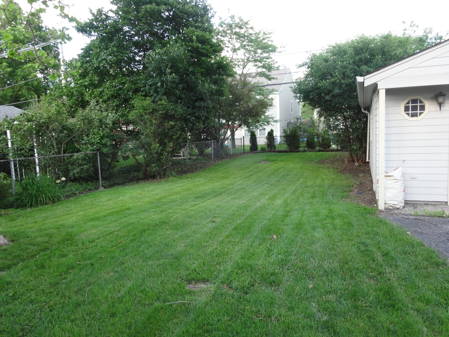 961 Spring Road Elmhurst, IL 60126 - Photo 4 of 24 a view of a backyard with large trees