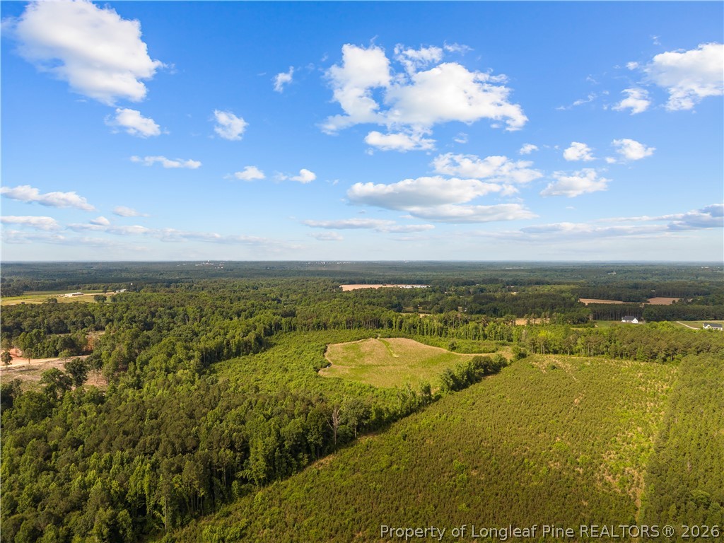 Leaflet Church Road Lillington, NC 27546 - Photo 11 of 20
