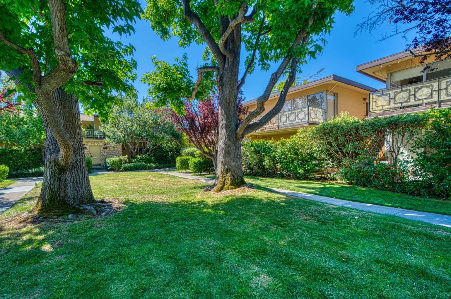760 University Avenue Palo Alto, CA 94301 - Photo 24 of 25 a view of a house with a tree and a yard