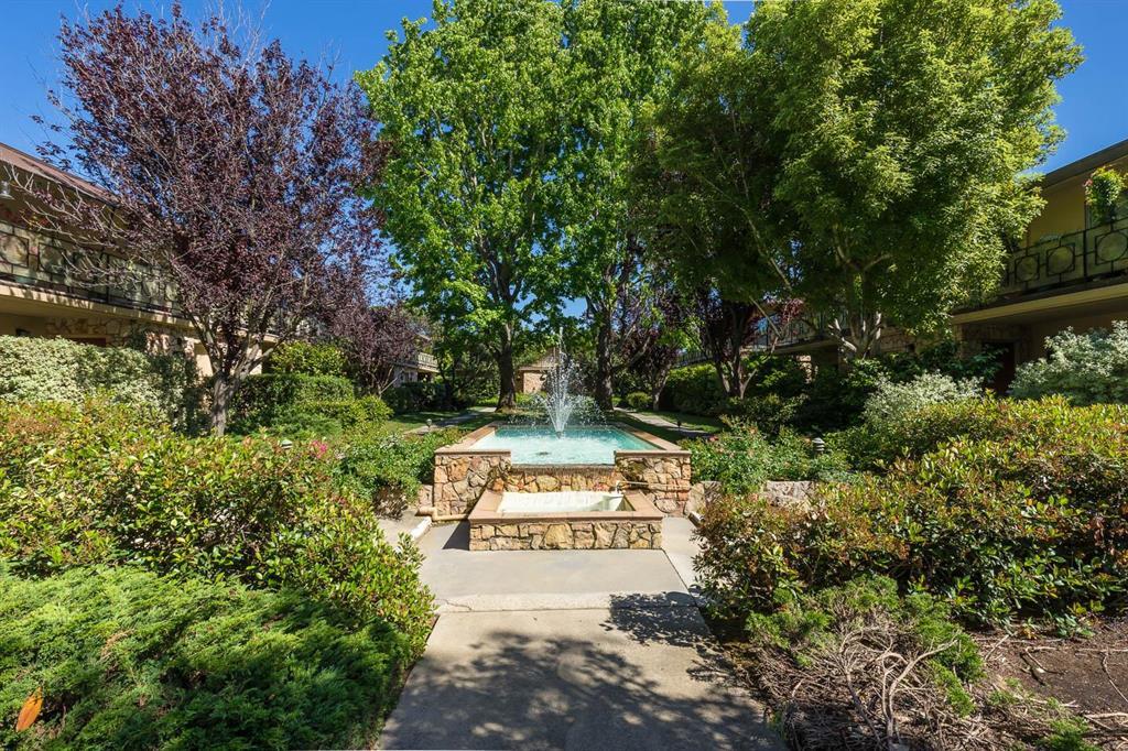 760 University Avenue Palo Alto, CA 94301 - Photo 5 of 25 a view of a park with trees and flowers
