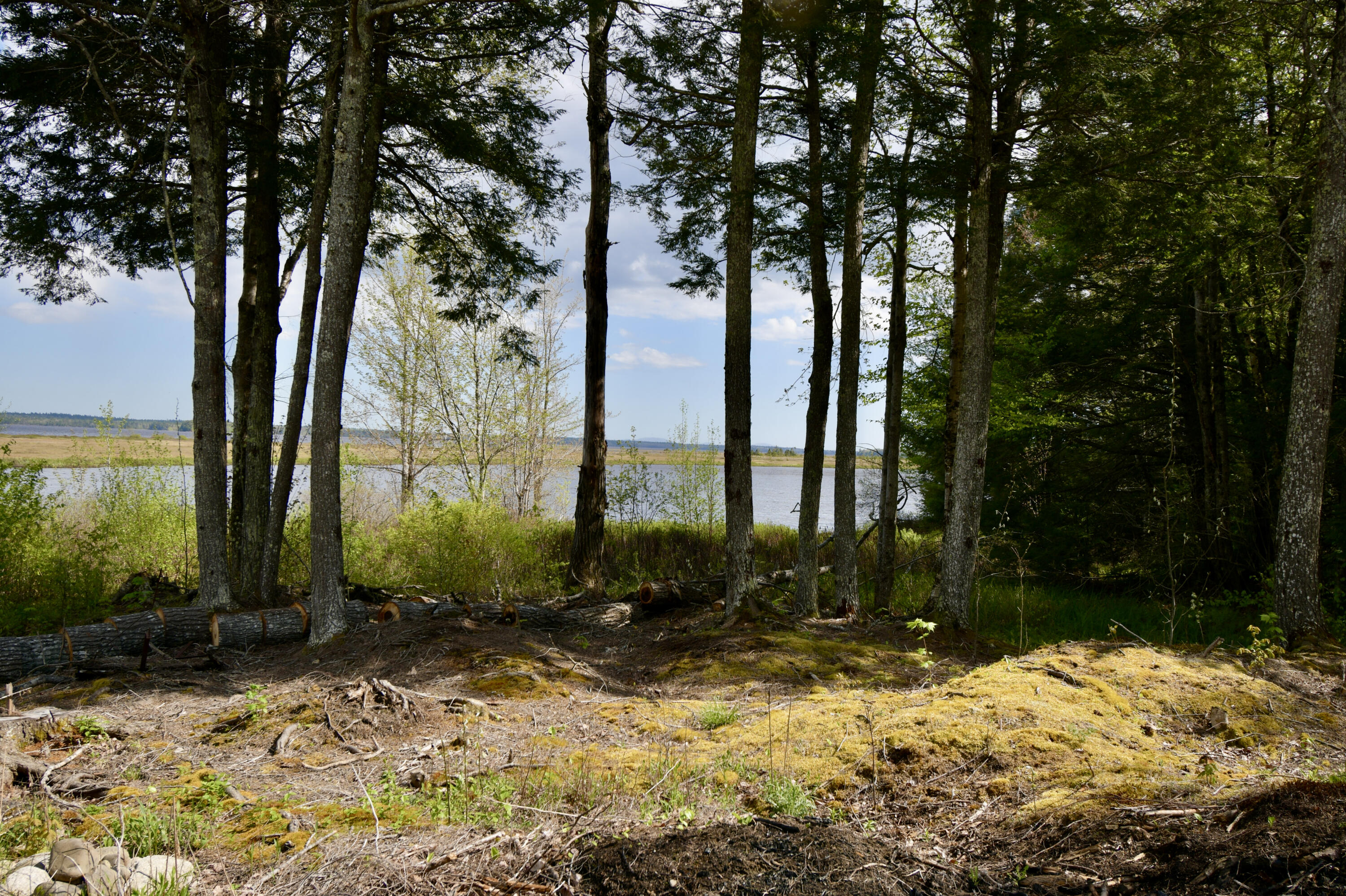 102 Whitmore Road Ellsworth, ME 04605 - Photo 13 of 100 F835EAFD-CCFD-4D82-BD0D-B053C501734D_1_2