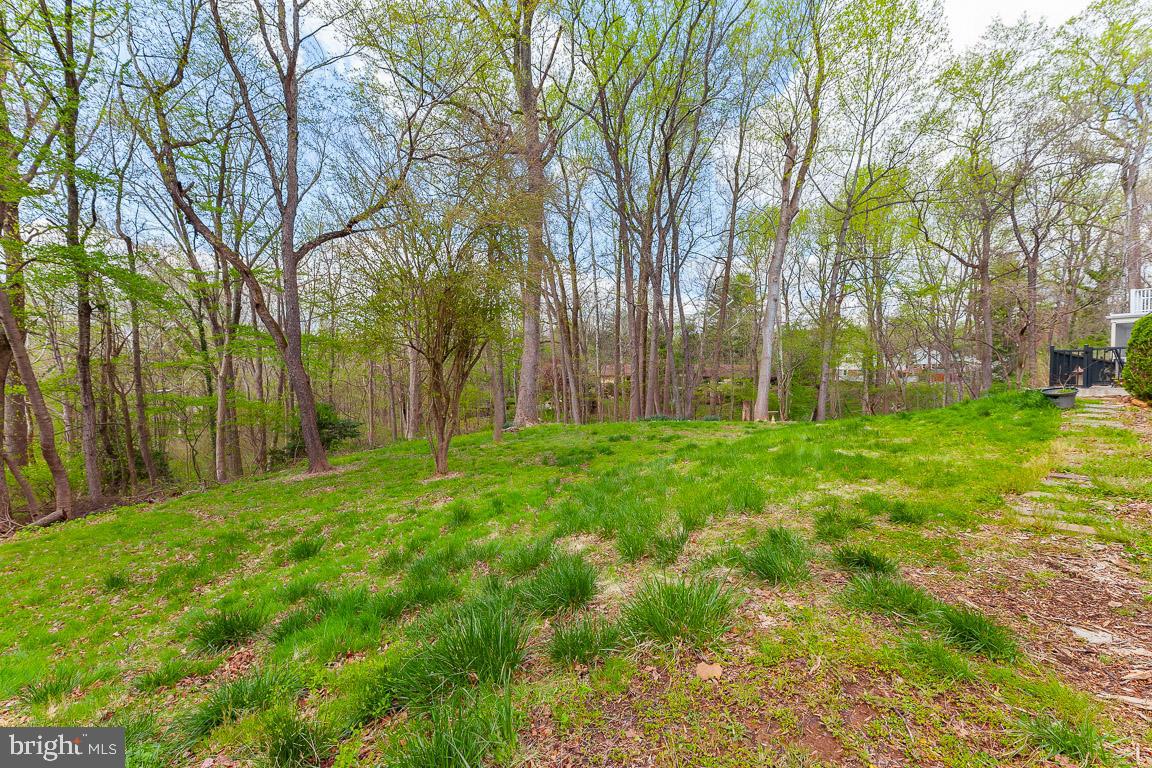 12712 Eldrid Place Silver Spring, MD 20904 - Photo 49 of 51