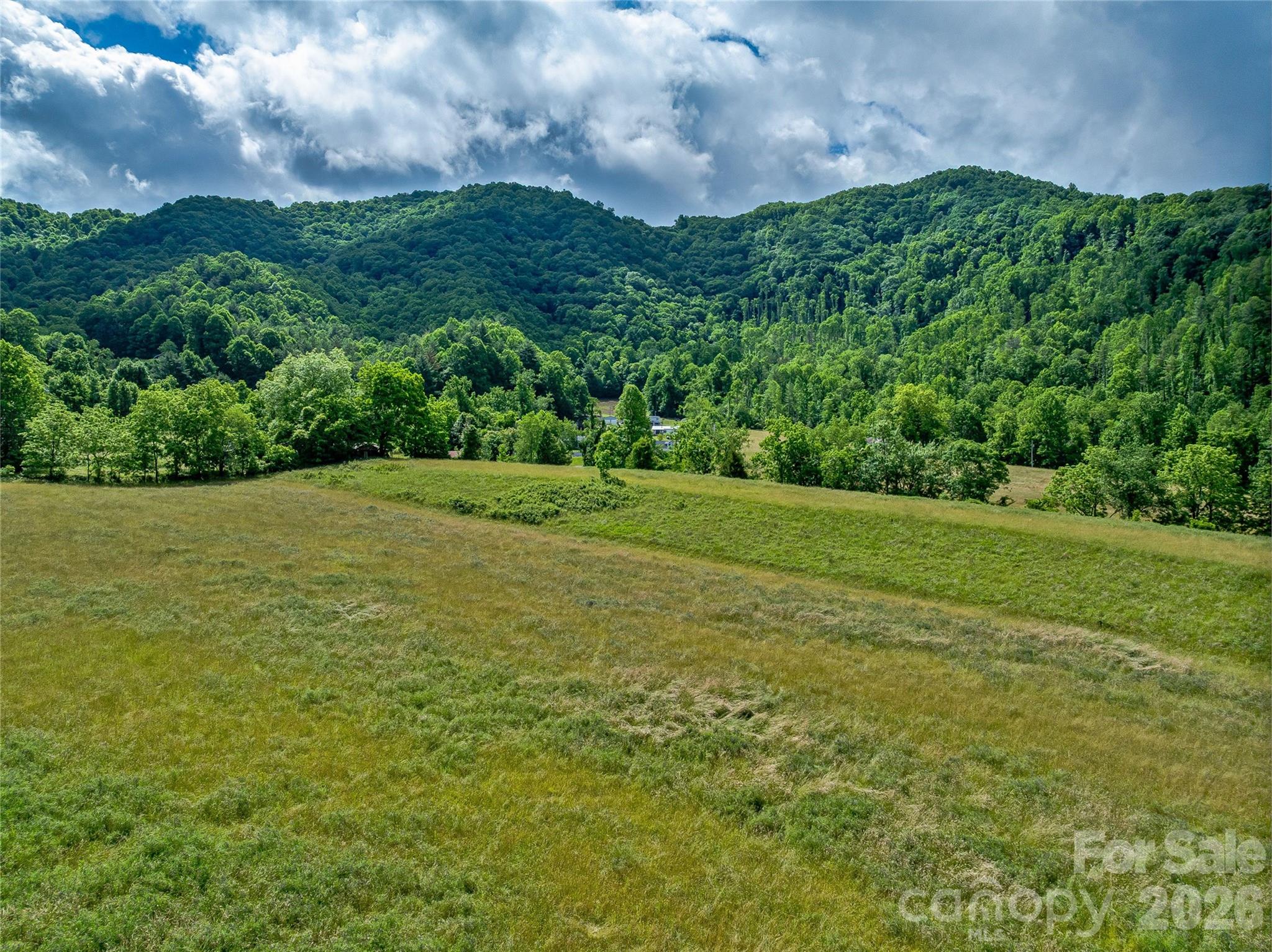 330 Tilson Branch Road Marshall, NC 28753 - Photo 19 of 22