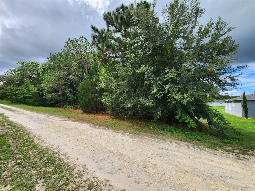 Tbd Southwest 29th Street Ocala, FL 34481 - Photo 1 of 1