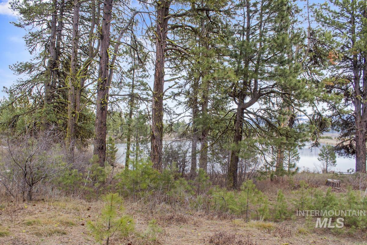 L1-b3 Opal Drive Cascade, ID 83611 - Photo 4 of 21