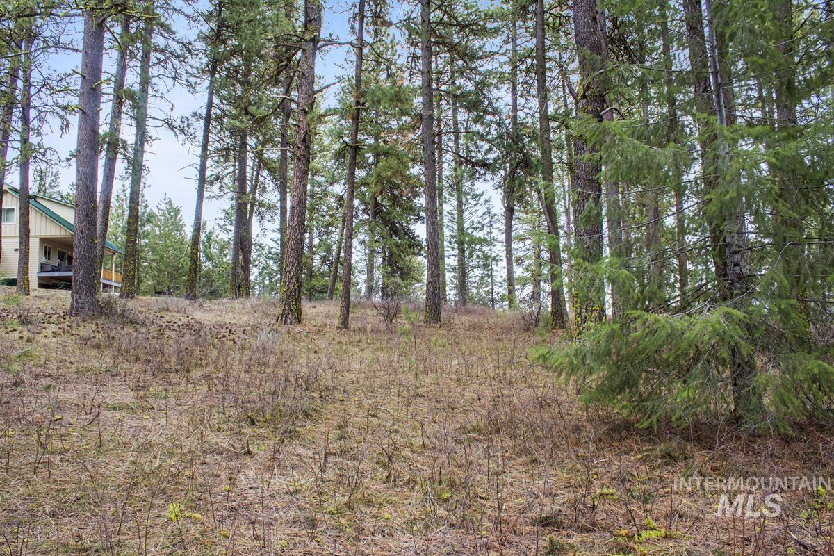 L1-b3 Opal Drive Cascade, ID 83611 - Photo 5 of 21