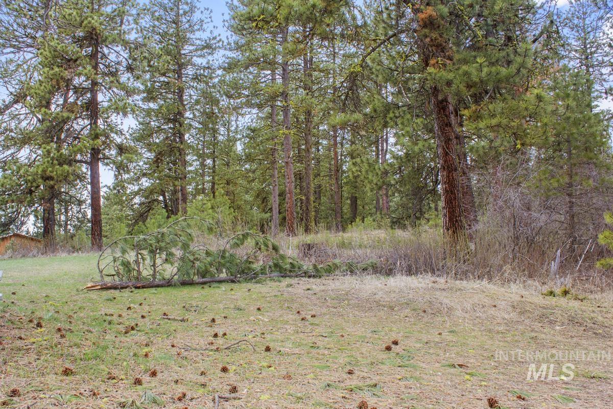 L1-b3 Opal Drive Cascade, ID 83611 - Photo 6 of 21