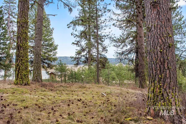 $214,950 | L1-b3 Opal Drive, Cascade, ID 83611