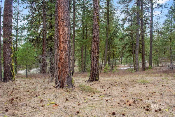 $214,950 | L1-b3 Opal Drive, Cascade, ID 83611