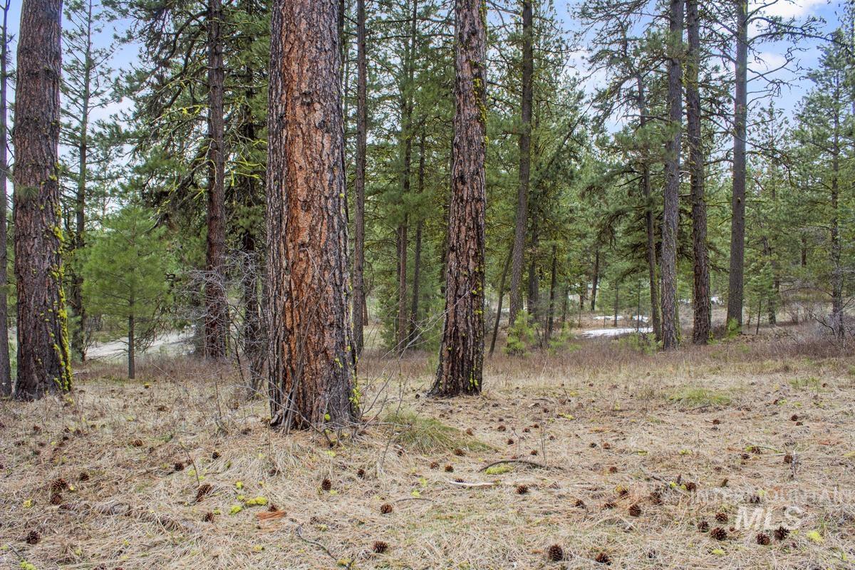 L1-b3 Opal Drive Cascade, ID 83611 - Photo 8 of 21