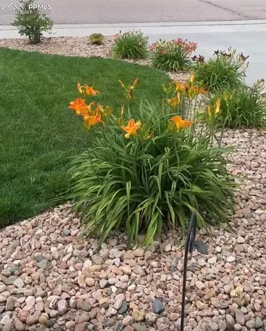 $594,900 | 10853 Torreys Peak Way, Peyton, CO 80831