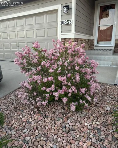 $594,900 | 10853 Torreys Peak Way, Peyton, CO 80831