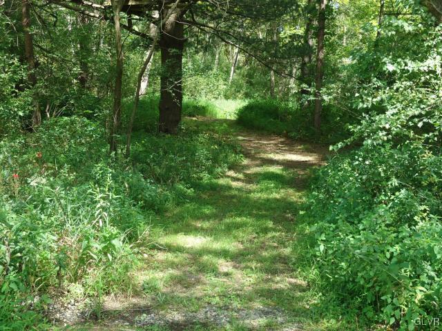 2224 Yost Road Bath, PA 18014 - Photo 32 of 34 a view of a lush green forest