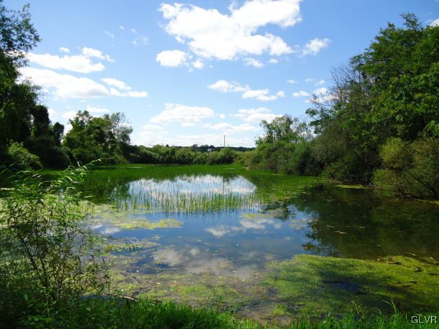 2224 Yost Road Bath, PA 18014 - Photo 34 of 34 a view of a lake with a yard