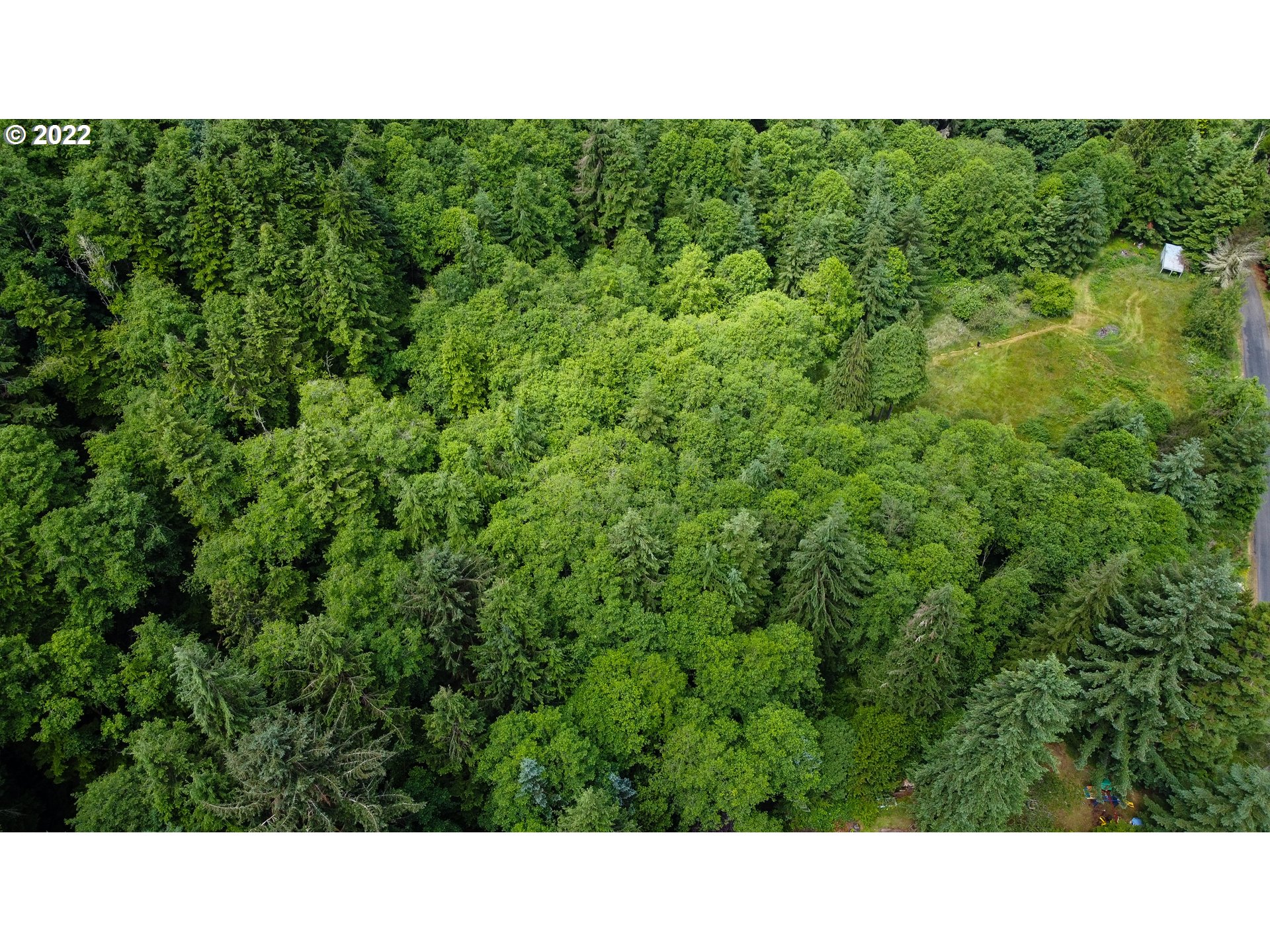 Sylvandale Astoria, OR 97103 - Photo 8 of 10 a open area with trees in the background