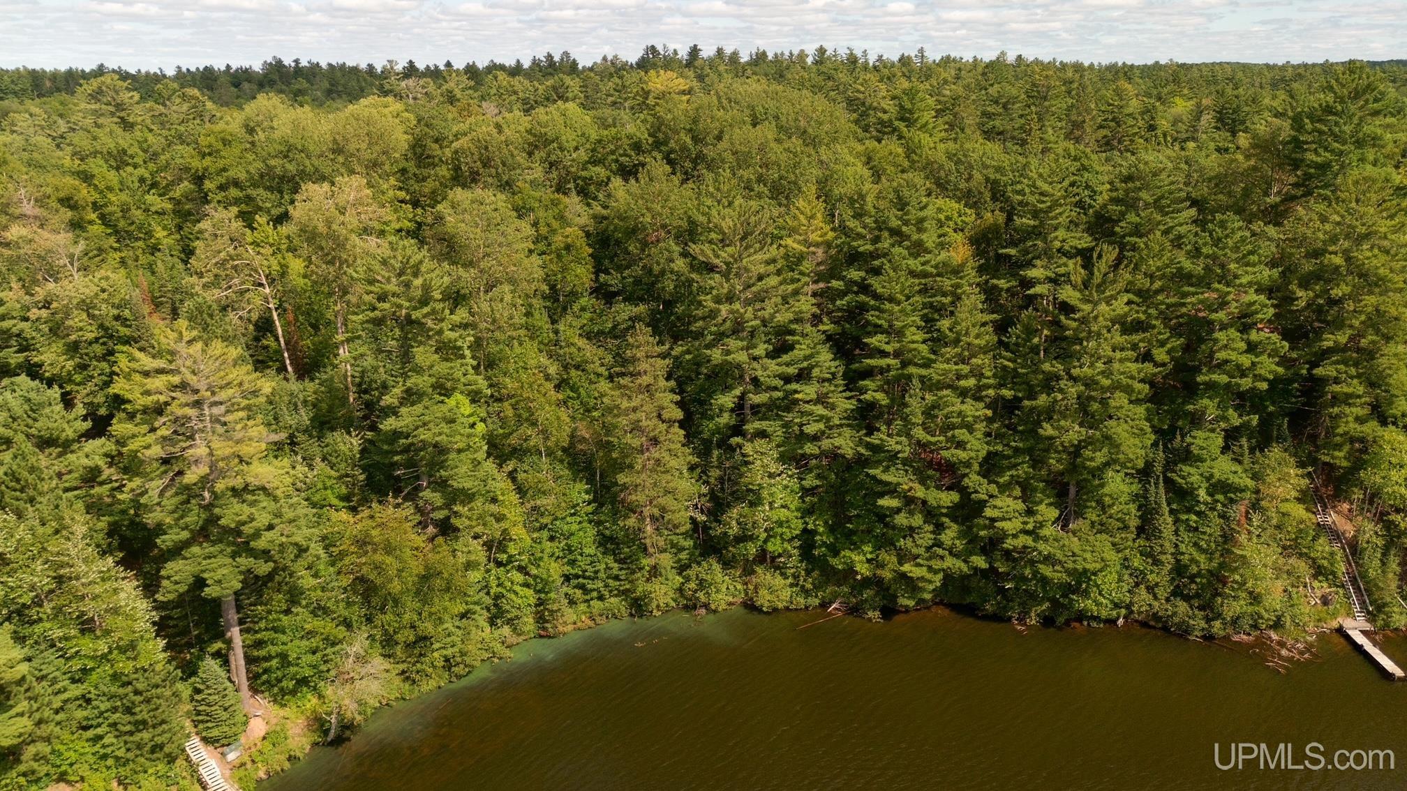 Tbd West Paint Lake Road Iron River, MI 49935 - Photo 7 of 14