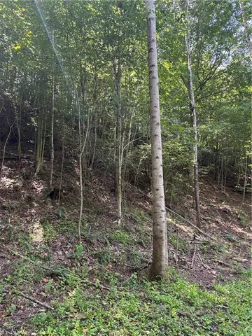 $19,900 | 0 Rolling Hill Drive, Tobaccoville, NC 27050