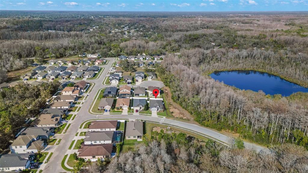 12417 Sourwood Way New Port Richey, FL 34654 - Photo 36 of 46