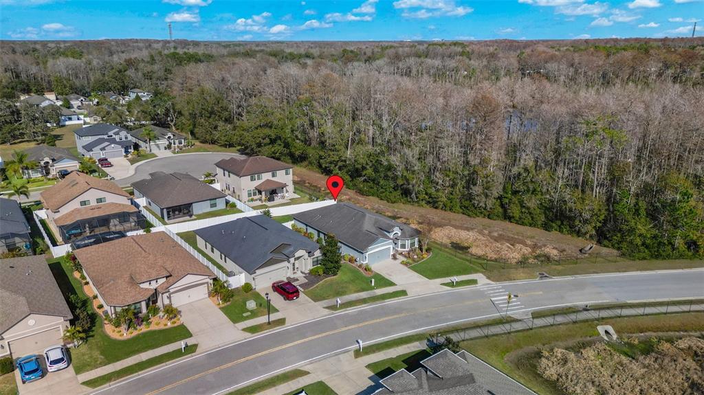 12417 Sourwood Way New Port Richey, FL 34654 - Photo 38 of 46