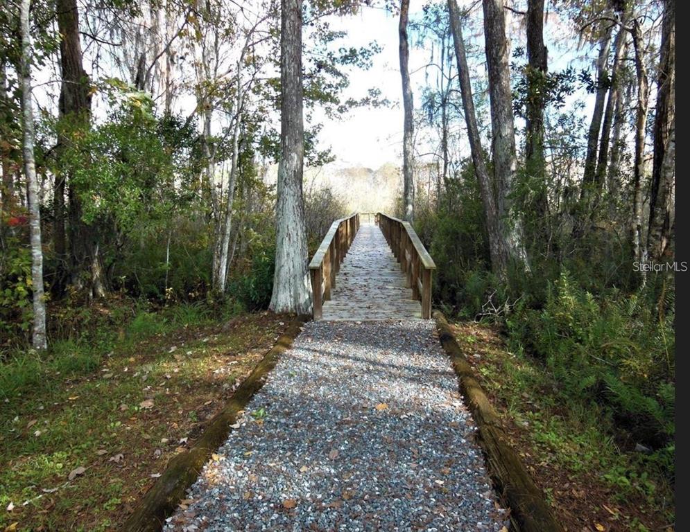 12417 Sourwood Way New Port Richey, FL 34654 - Photo 44 of 46