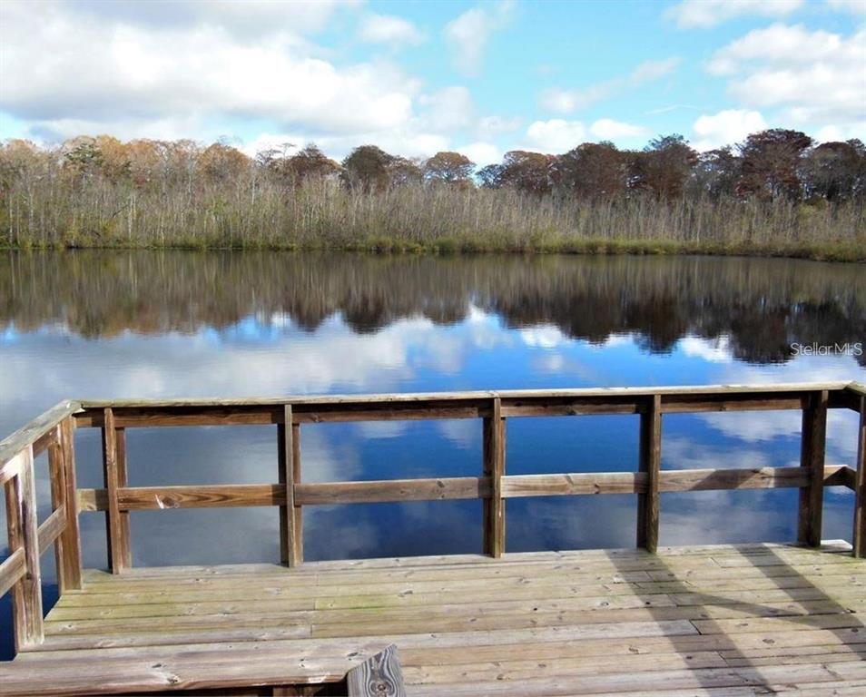 12417 Sourwood Way New Port Richey, FL 34654 - Photo 45 of 46