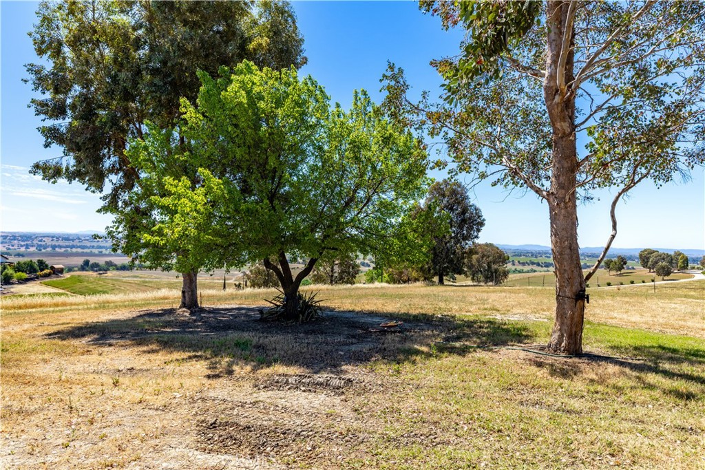 1876 Rancho Lomas Way San Miguel, CA 93451 - Photo 61 of 75