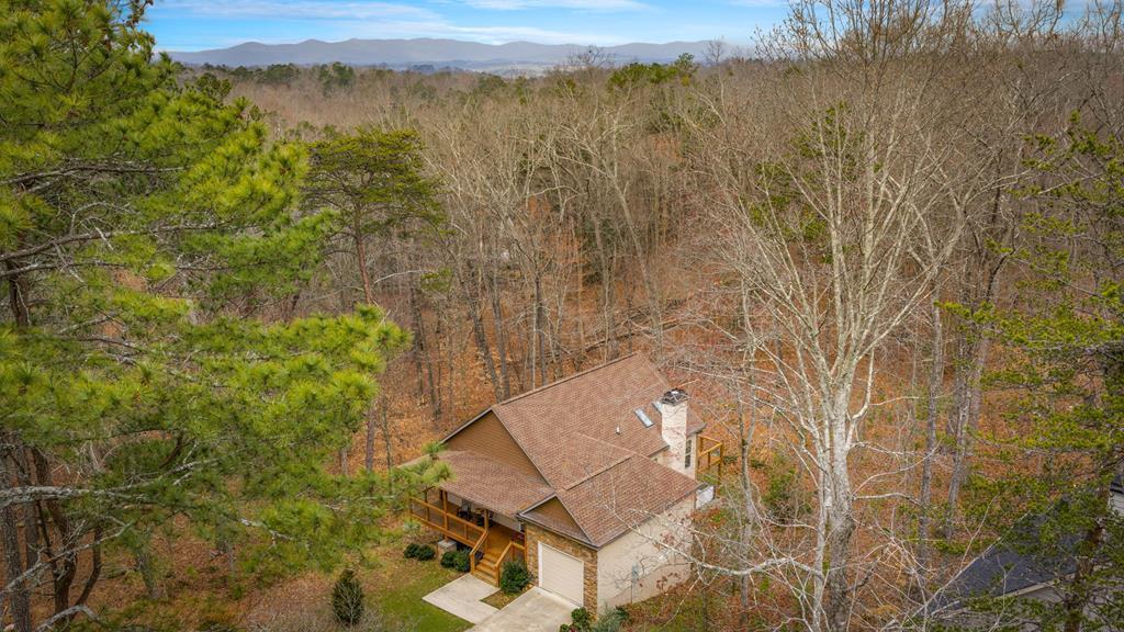 156 Ridge Crest Court Ellijay, GA 30540 - Photo 55 of 68 Gallery Image 55