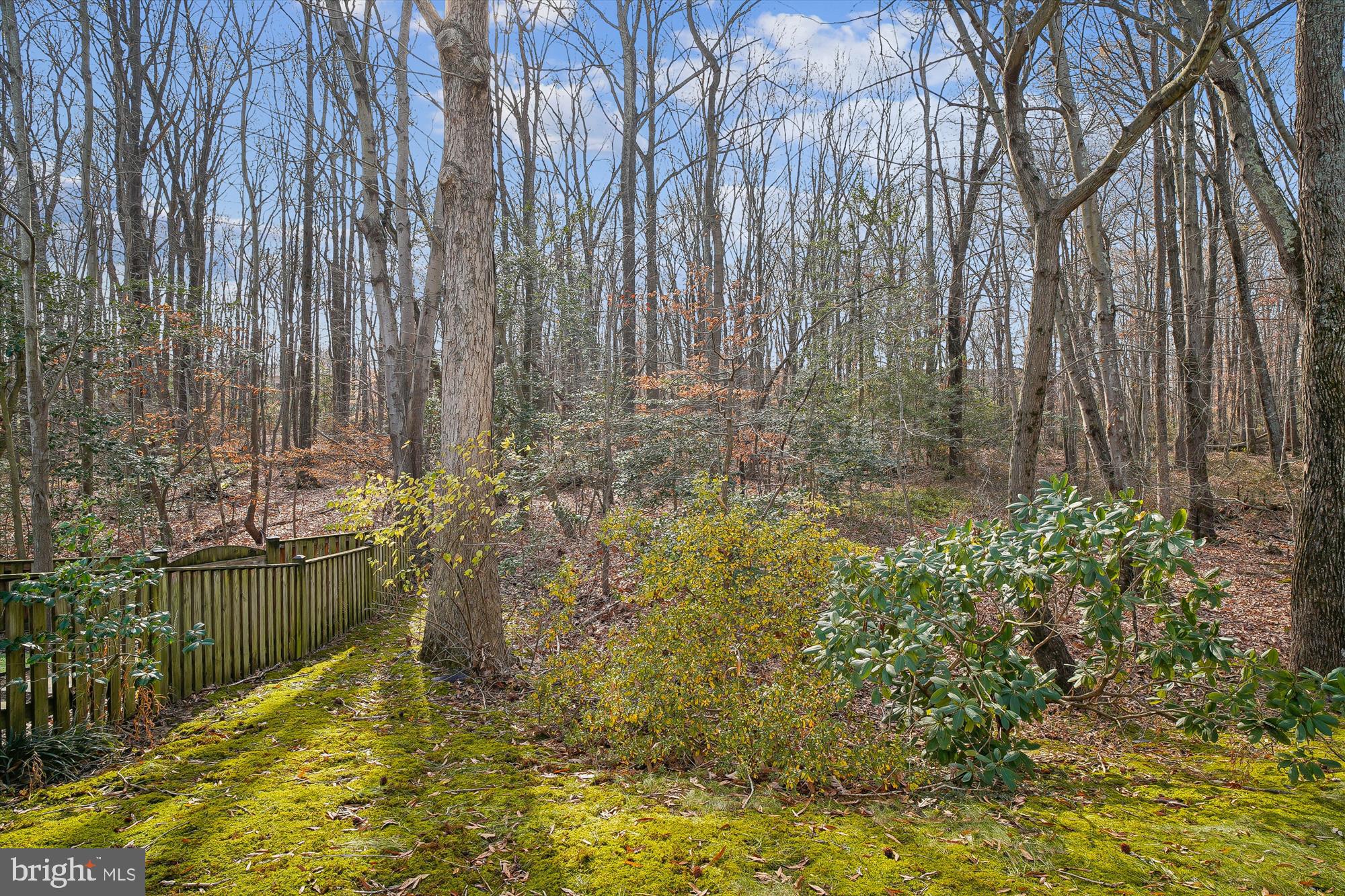 328 Colony Point Place Edgewater, MD 21037 - Photo 64 of 89