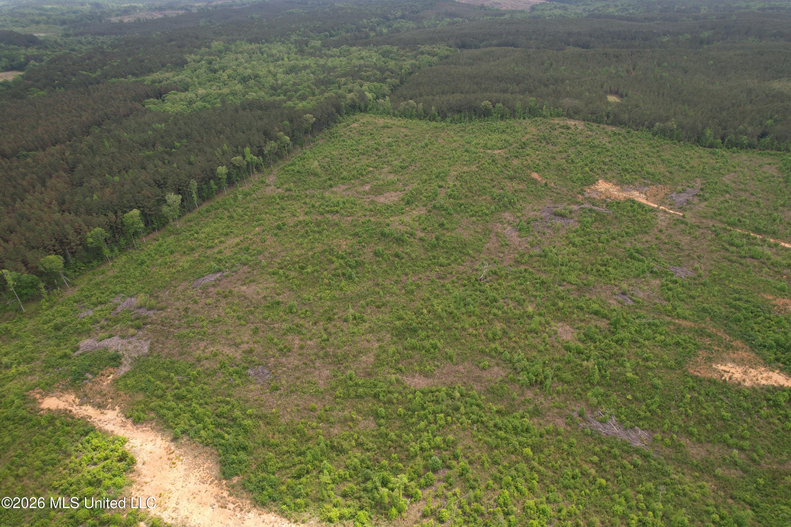 5223 County Road Ethel, MS 39067 - Photo 15 of 22 dji_fly_20260424_111320_103_177704768749