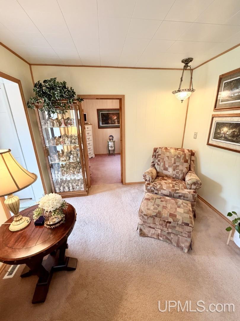 975 Cottage Street Ishpeming, MI 49849 - Photo 6 of 38
