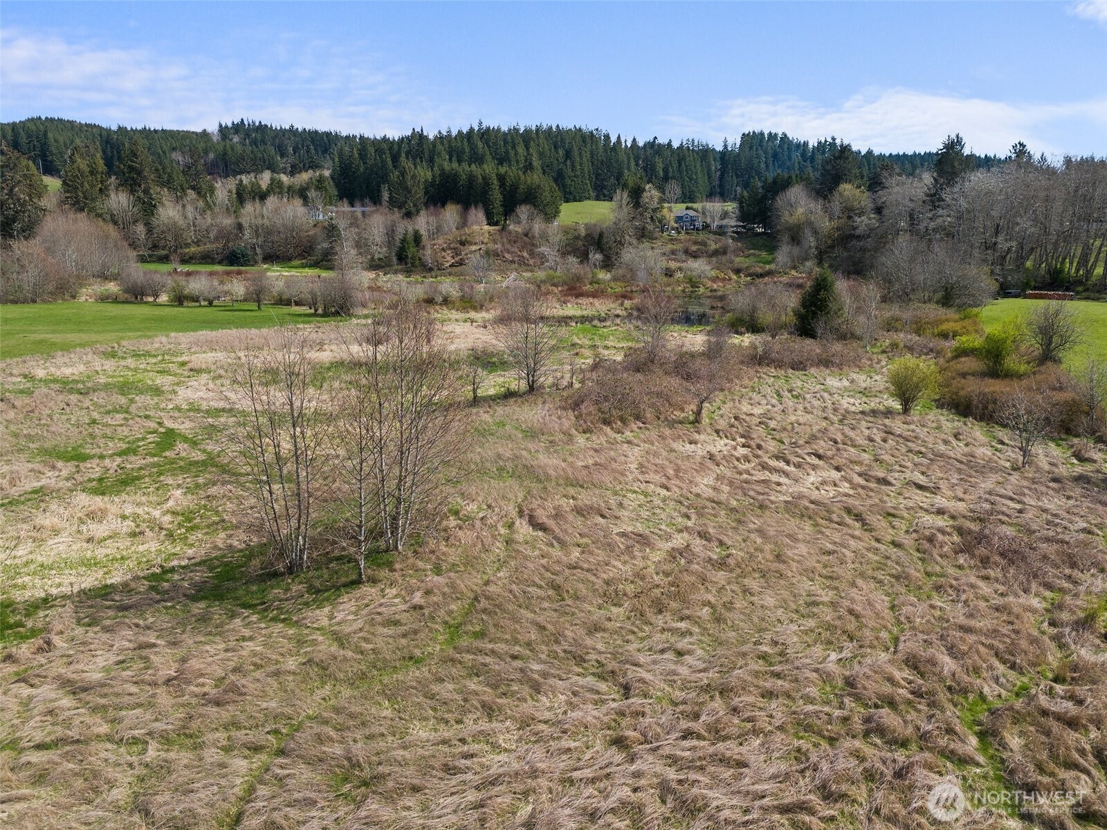 0 X Lilly Wheaton Road Raymond, WA 98577 - Photo 4 of 14 a view of a town with mountains in the background