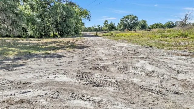 a view of dirt field with trees