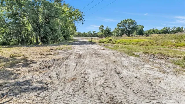 a view of a yard with a tree