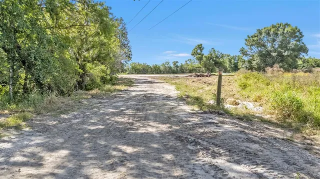 a view of a yard with an trees