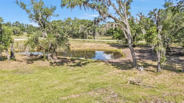 a view of a yard with swimming pool