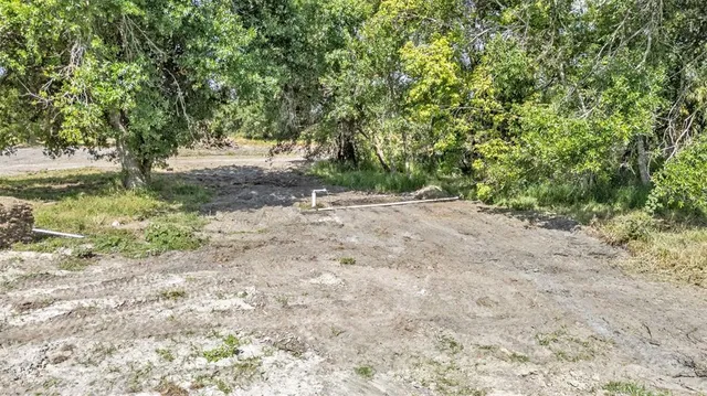a view of dirt field with trees in the background