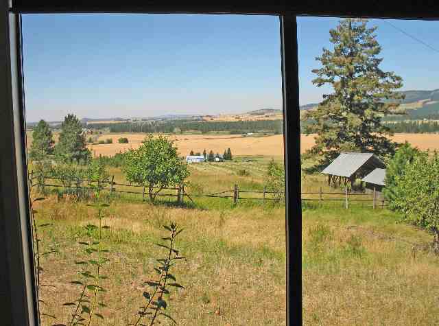 12725 South Jackson Road Mica, WA 99023 - Photo 2 of 9
