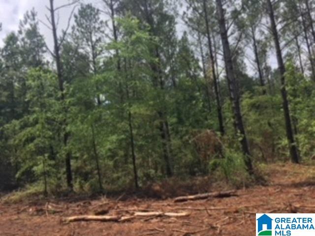 325 Springhill Road, Unit 1 Talladega, AL 35160 - Photo 9 of 31