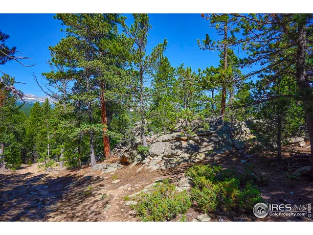 a view of a bunch of trees