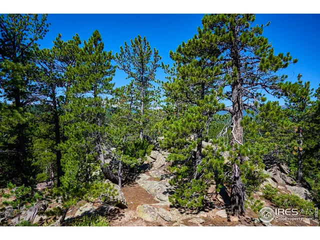 a view of lake and mountain